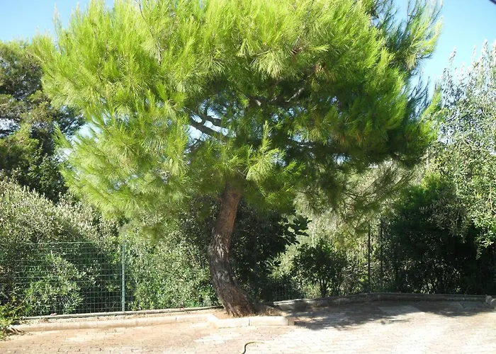 Lamamare Apartamento